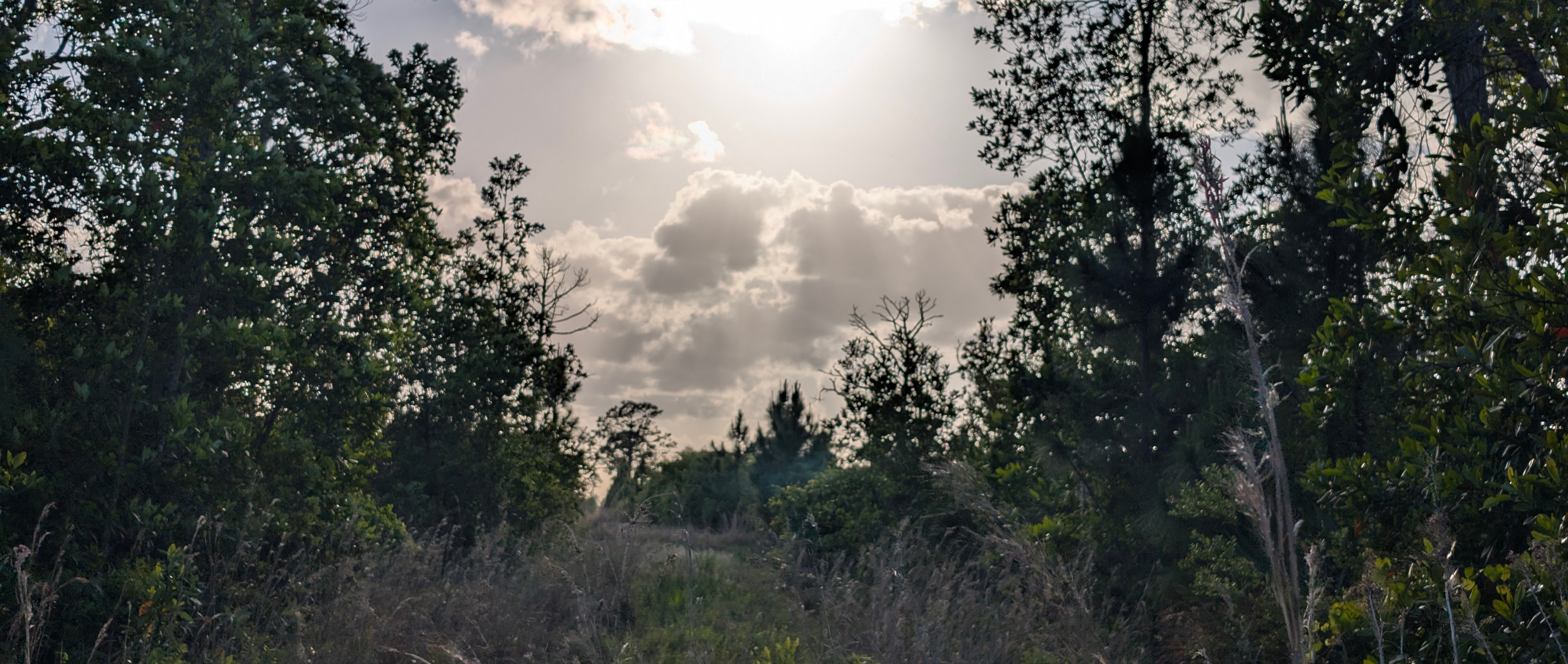 landscape.jpg
